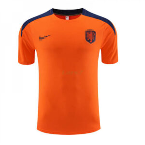 magliette da calcio economiche
