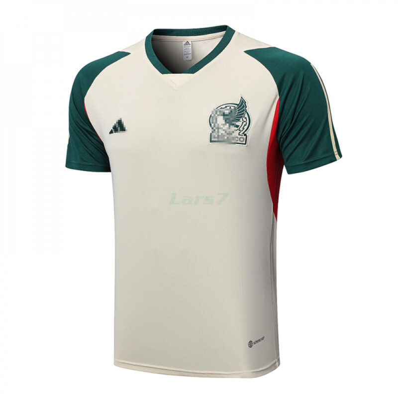 magliette da calcio economiche