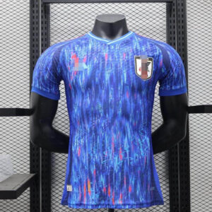 magliette da calcio economiche