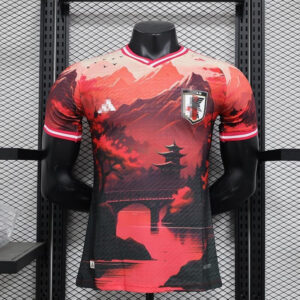 magliette da calcio economiche